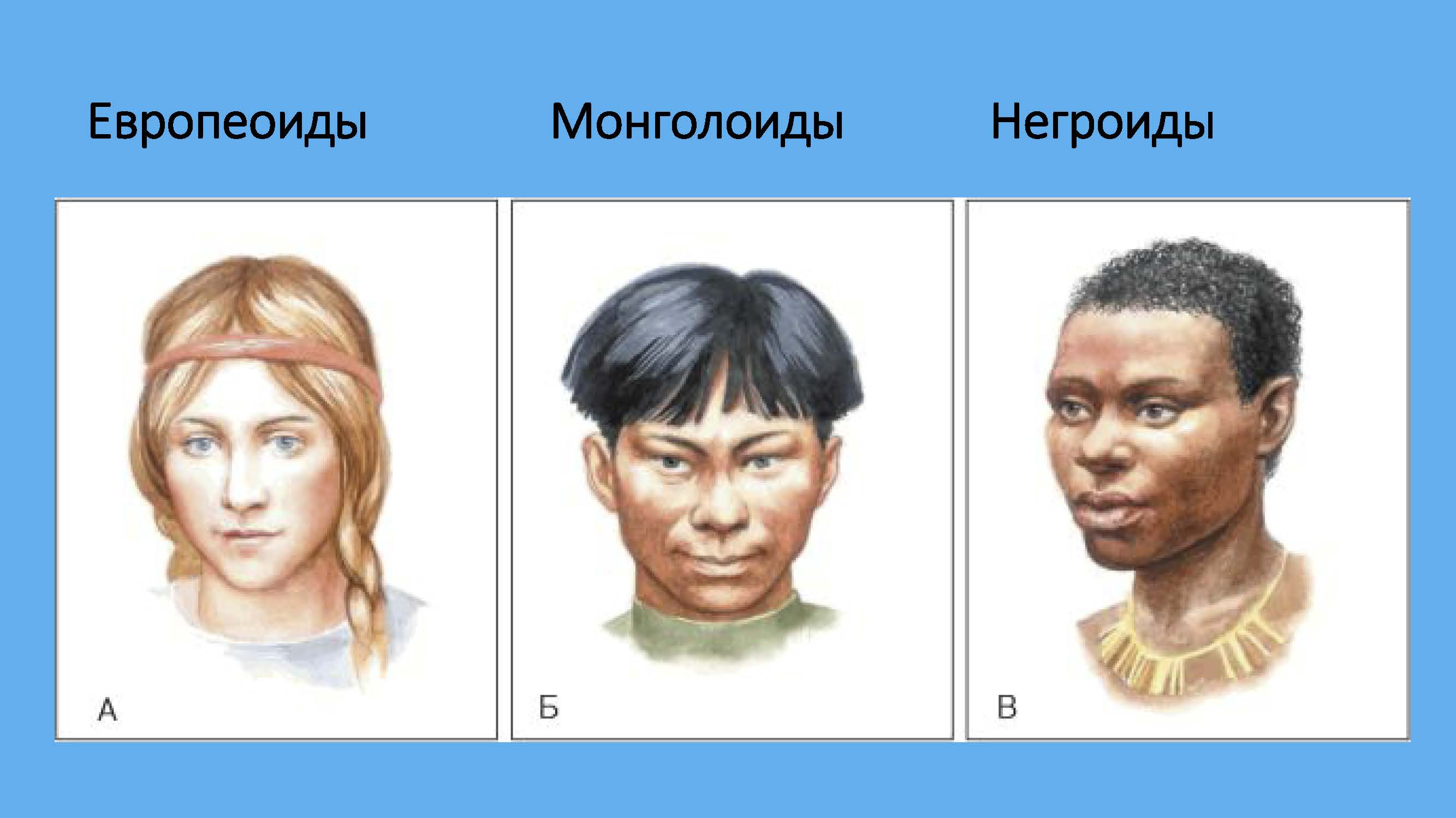 Человеческие расы европеоидная монголоидная негроидная